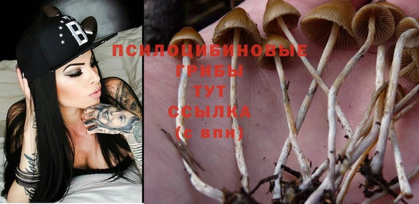 марки nbome Алексин